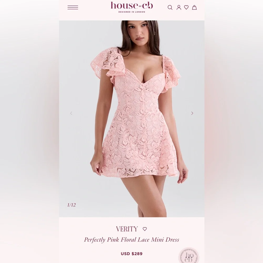 Blush Lace Sweetheart Mini Dress đ¸ - Picture 2 of 9